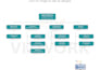 create a professional organizational chart for you